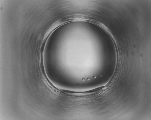 X0000057091195200509120911