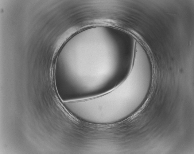 X0000057091196200509120911