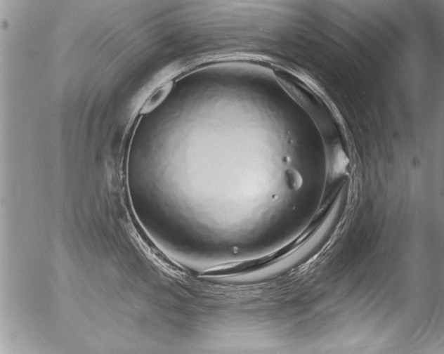 X0000057091197200509120911