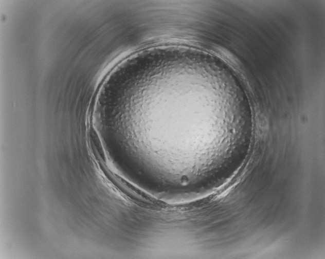 X0000057091198200509120911