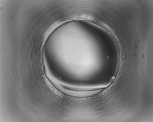 X0000057091200200509120911