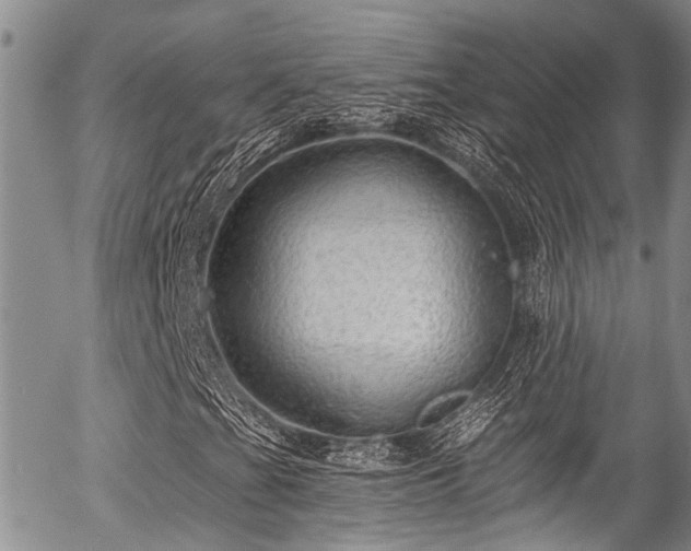 X0000057091201200509120910