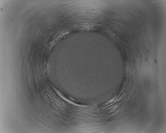 X0000057091202200509120910