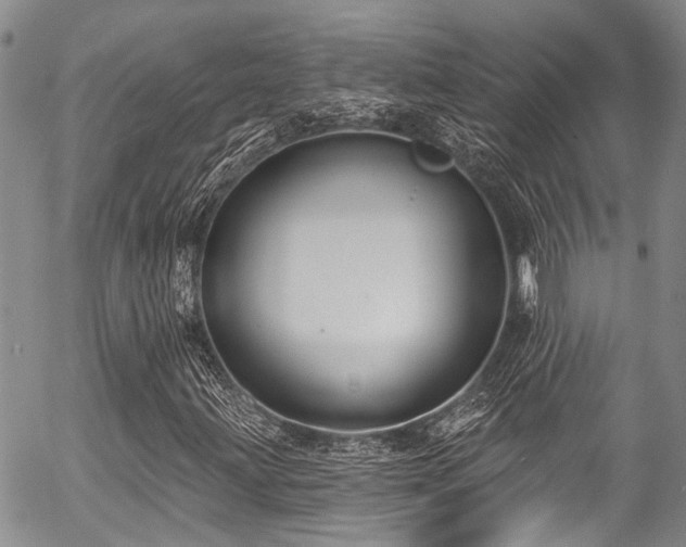 X0000057091203200509120910