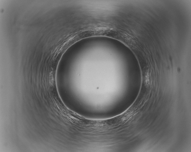 X0000057091204200509120910