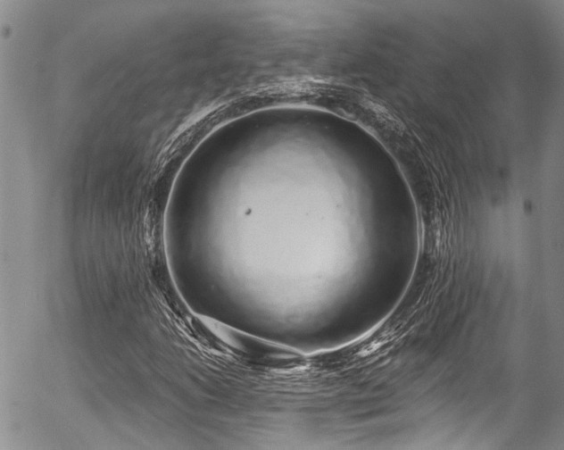 X0000057091206200509120910