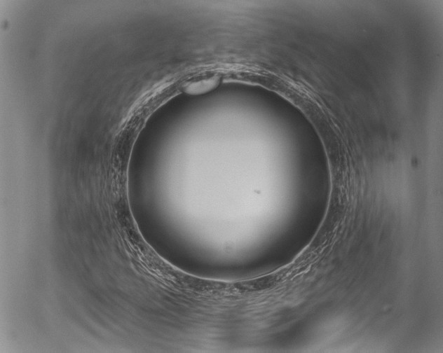 X0000057091207200509120910