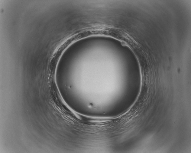 X0000057091208200509120910