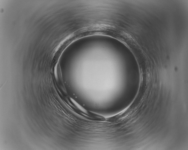 X0000057091210200509120910