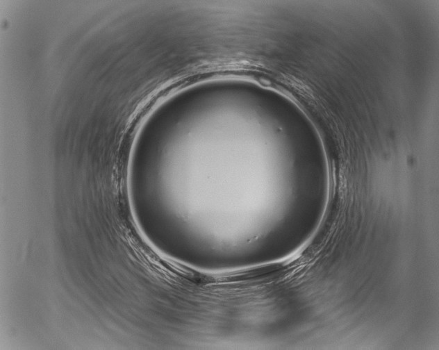 X0000057091212200509120910