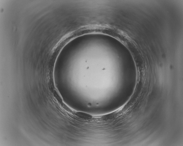 X0000057091213200509120910