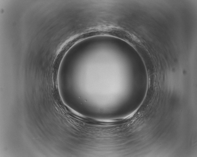 X0000057091214200509120910