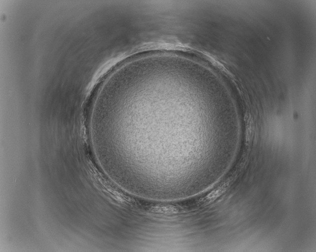 X0000057091215200509120910