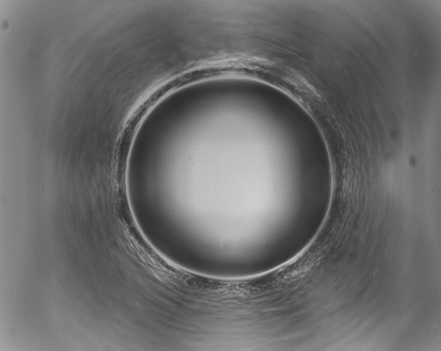 X0000057091216200509120910