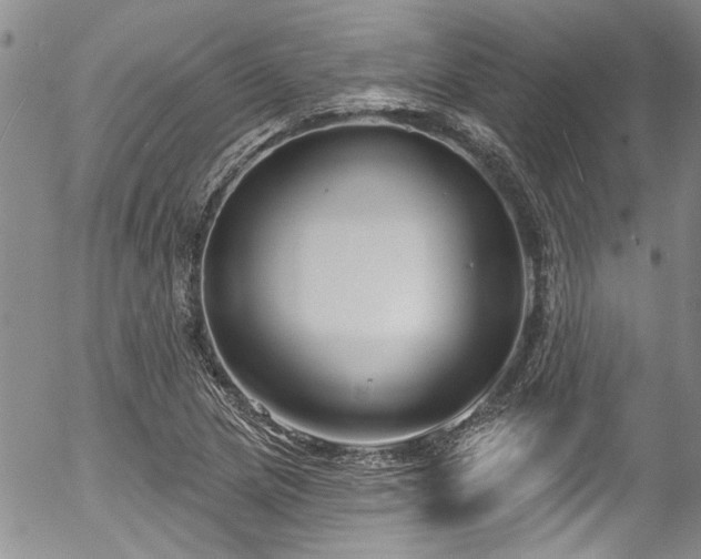 X0000057091217200509120910