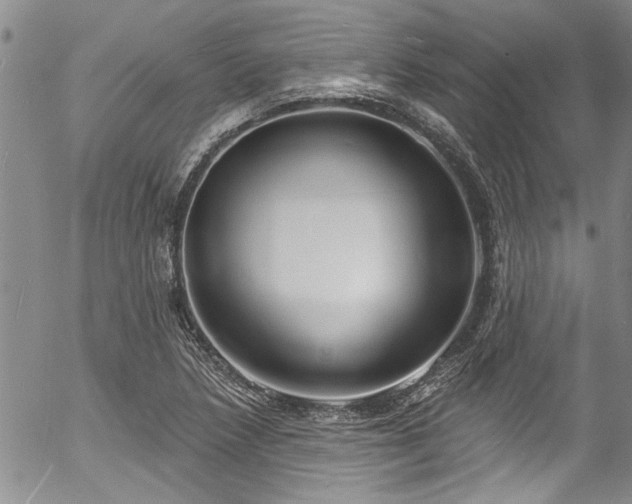 X0000057091218200509120910