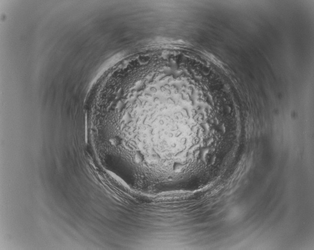 X0000057091219200509120910