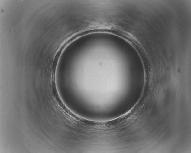 X0000057091220200509120910