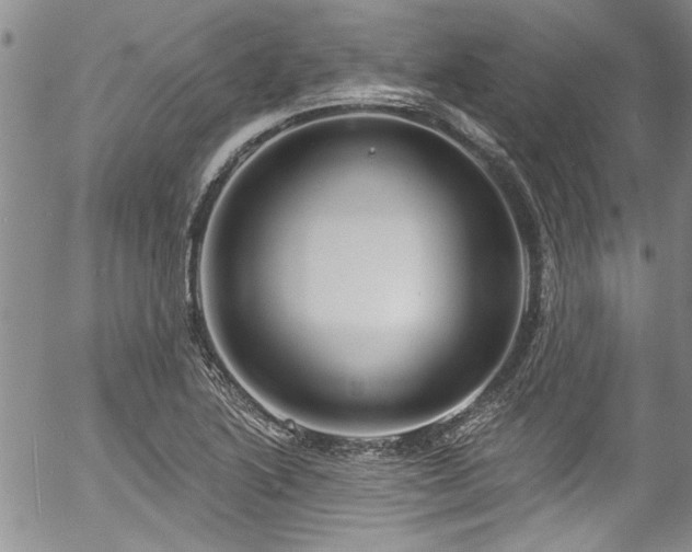 X0000057091222200509120910