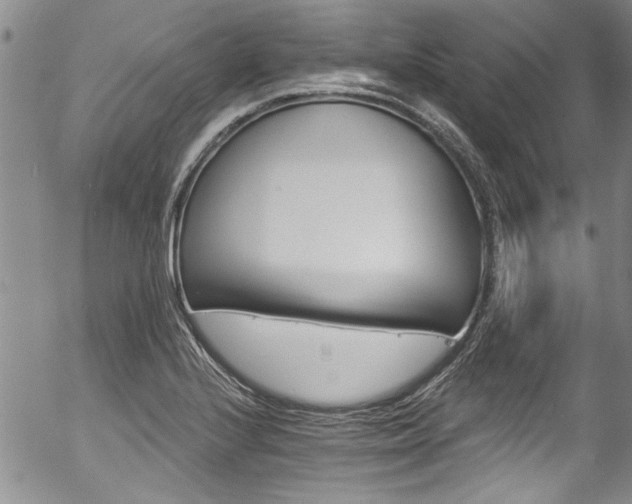 X0000057091224200509120911