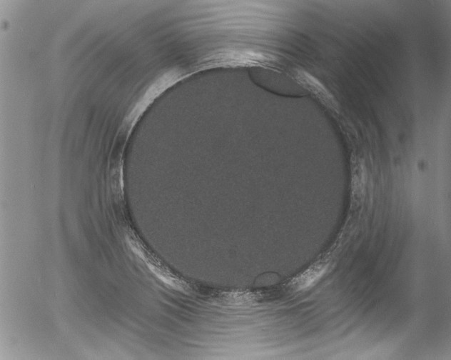 X0000057091226200509120911