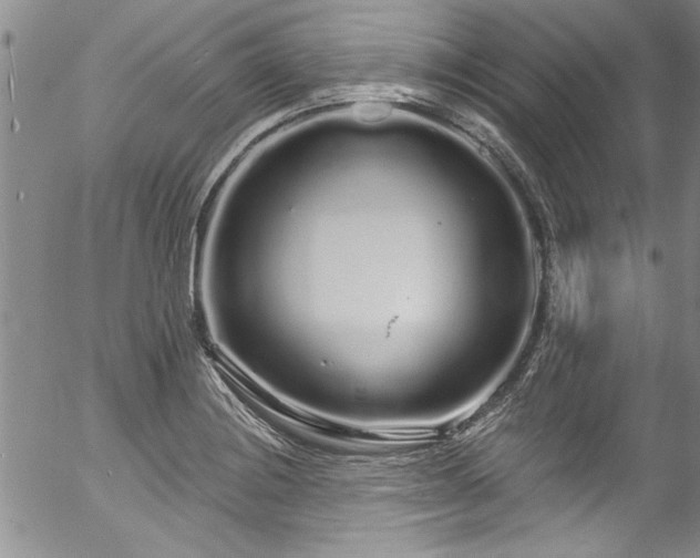 X0000057091228200509120911