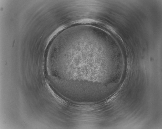 X0000057091229200509120911