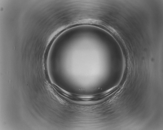 X0000057091230200509120911