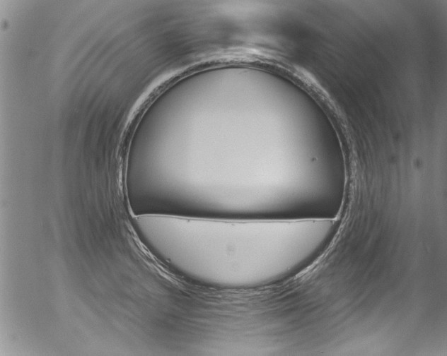 X0000057091232200509120911