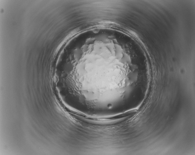 X0000057091235200509120911