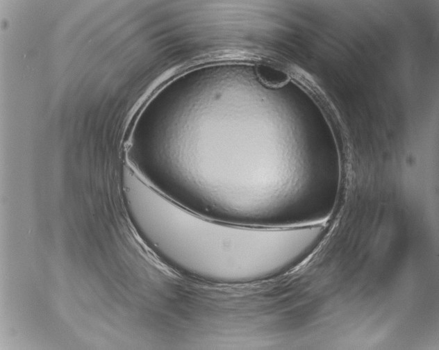 X0000057091236200509120911