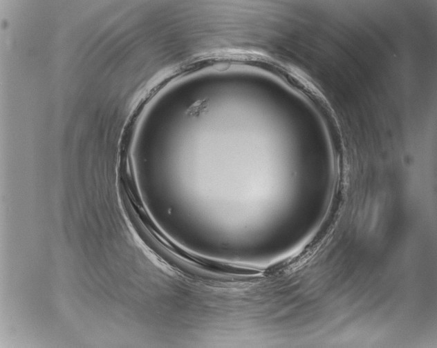 X0000057091237200509120911