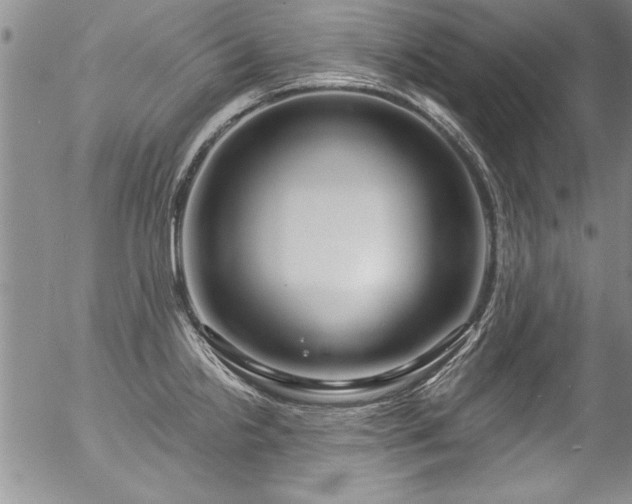 X0000057091238200509120911