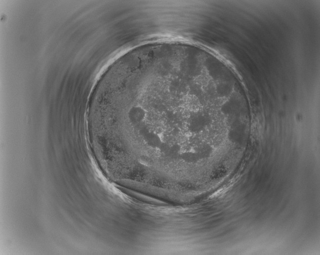 X0000057091239200509120911