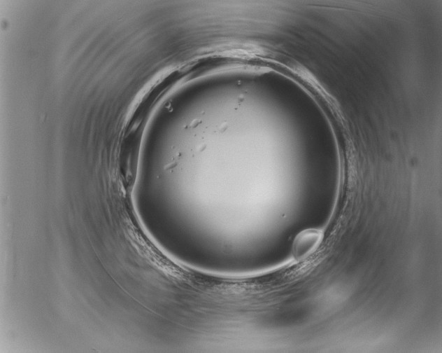 X0000057091240200509120911