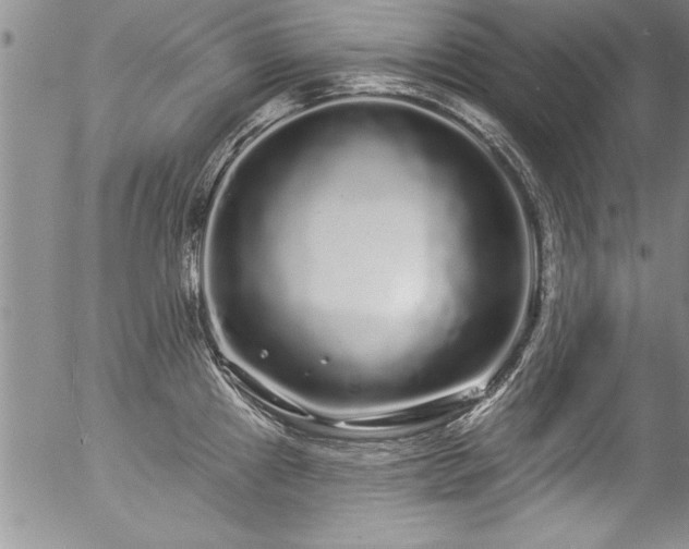 X0000057091241200509120911