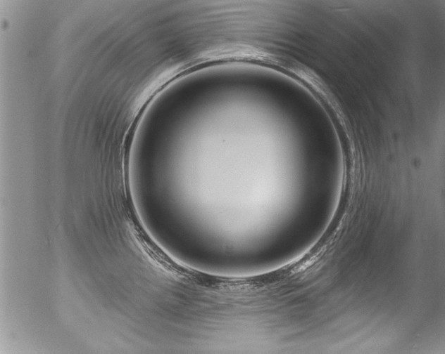 X0000057091242200509120911