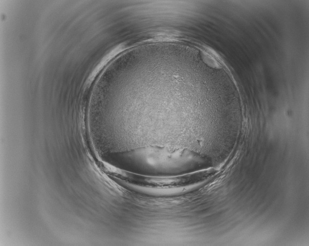 X0000057091243200509120911