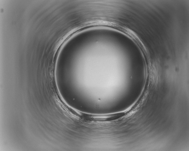 X0000057091244200509120911