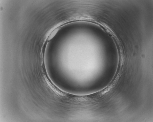 X0000057091246200509120911