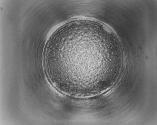 X0000057091247200509120911