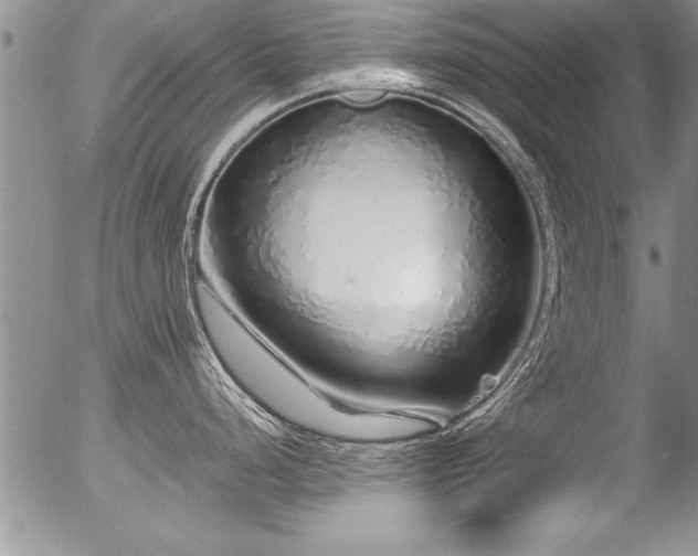 X0000057091248200509120911