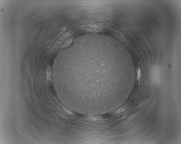 X0000057091251200509120910