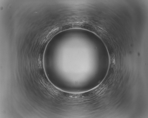 X0000057091252200509120910