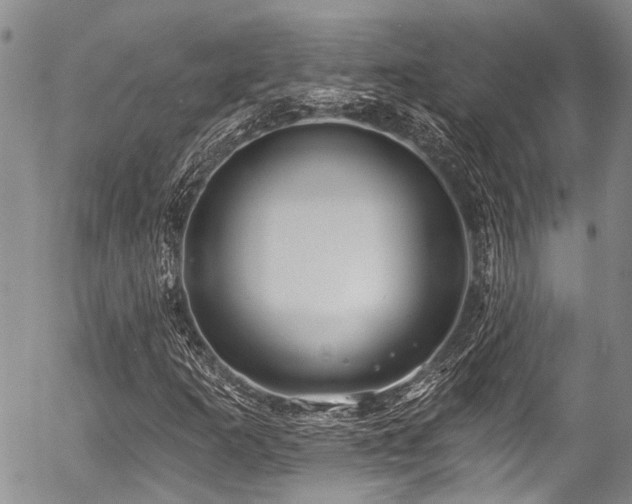 X0000057091253200509120910