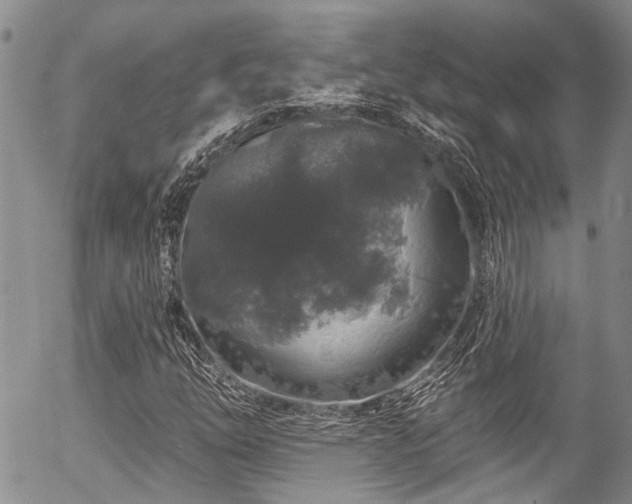 X0000057091254200509120910