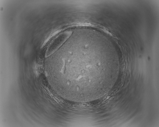 X0000057091255200509120910