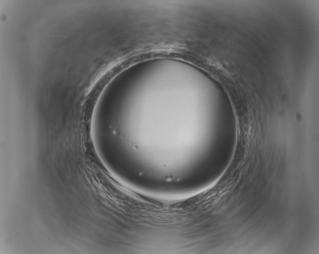 X0000057091256200509120910