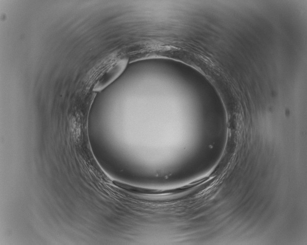 X0000057091257200509120910