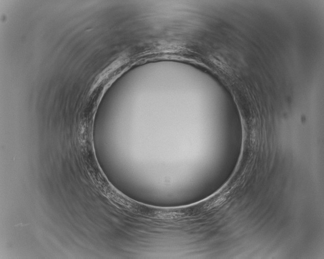 X0000057091258200509120910